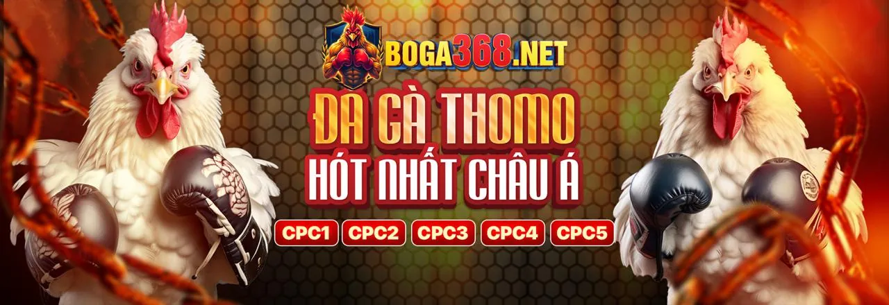 Các cấp độ VIP và đặc quyền tại VF88