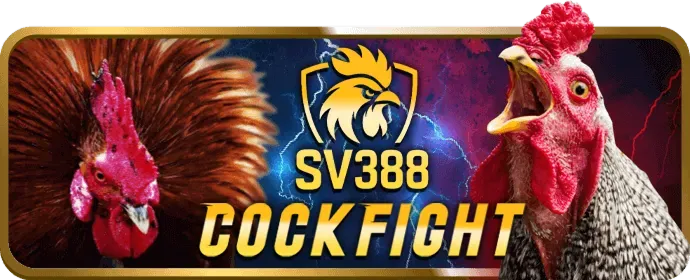 Hệ thống bảo mật VF88